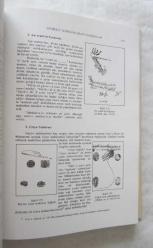 Osmanlı Belgelerinin Dili (Diplomatik)