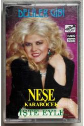 Neşe Karaböcek Deliler Gibi İşte Eyle Kaset (Orjinal 1989 Dönem Kağıt Baskı)