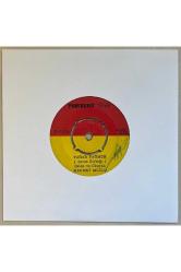 Mehmet Mutlu Yağar Yağmur - Çatı Kemer 45 lik Plak (Orijinal Dönem Baskı)