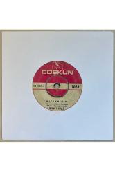 Mehmet Güçlü Kıskanırım - Ne Esirinim Ne Kölenim 45 lik Plak (Orijinal Dönem Baskı)