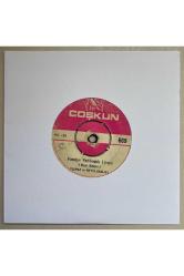 Yılmaz ve Metin Şanlıel Kahire Geceleri - Fasulye Yenibuçuk Liraya 45’lik plak (Orijinal Baskı)