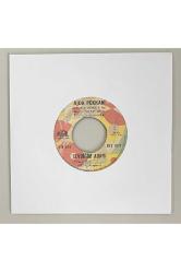 Ajda Pekkan Sevdiğim Adam - Boşvermişim Dünyaya 45 lik Plak (Orijinal 1967 Dönem Baskı Plak)