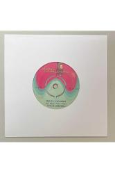 Ömür Göksel Senin Yanında - Senden Kalan Şarkı 45 lik Plak (Orjinal Dönem Baskı Plak)