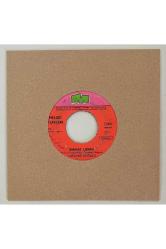 Yurdaer Doğulu Elveda Meyhaneci - Şehnaz Longa 45 lik Plak (Orijinal Dönem Baskı Plak)