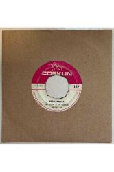 Şükran Ay Esrarengiz - Kısmetimiz Bu Kadarmış 45 lik Plak ( Dönem Baskı Plak)