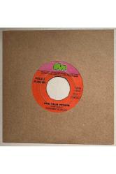 Yurdaer Doğulu Nasıl Geçti Habersiz - Arım Balım Peteğim 45 lik Plak (Orjnal Dönem Baskı Plak)