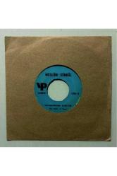 Müslüm Sünbül Şu Sazıma Bir Düzen Ver - Vatanımdan Ayrıyım 45 lik Plak (Orjinal Dönem Baskı)