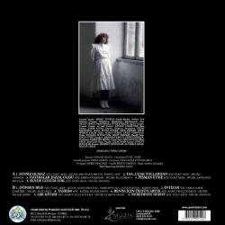 Nilüfer Sensiz Olmaz LP Renkli PLAK SIFIR JELATİNLİ AMBALAJINDADIR