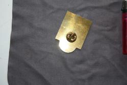 VİNTAGE  LİONS  İNTERNATİONAL ROZET-BROŞ-MADALYA  DETAYLAR RESIMLERDE (KİTAP RAF TENEKE KUTU 11