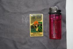 LOT.17 » VİNTAGE  LİONS  İNTERNATİONAL ROZET-BROŞ-MADALYA  DETAYLAR RESIMLERDE (KİTAP RAF TENEKE KUTU 12