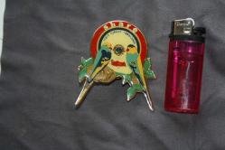 VİNTAGE  LİONS  İNTERNATİONAL ROZET-BROŞ-MADALYA  DETAYLAR RESIMLERDE (KİTAP RAF TENEKE KUTU 17