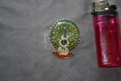 VİNTAGE  LİONS  İNTERNATİONAL ROZET-BROŞ-MADALYA  DETAYLAR RESIMLERDE (KİTAP RAF TENEKE KUTU 18