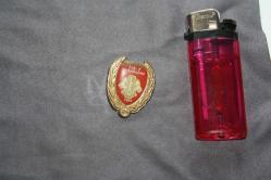 VİNTAGE  LİONS  İNTERNATİONAL ROZET-BROŞ-MADALYA  DETAYLAR RESIMLERDE (KİTAP RAF TENEKE KUTU 20