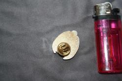 VİNTAGE  LİONS  İNTERNATİONAL ROZET-BROŞ-MADALYA  DETAYLAR RESIMLERDE (KİTAP RAF TENEKE KUTU 20