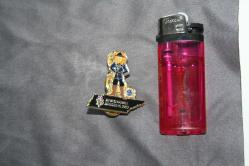 VİNTAGE  LİONS  İNTERNATİONAL ROZET-BROŞ-MADALYA  DETAYLAR RESIMLERDE (KİTAP RAF TENEKE KUTU 29