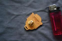 VİNTAGE  LİONS  İNTERNATİONAL ROZET-BROŞ-MADALYA  DETAYLAR RESIMLERDE (KİTAP RAF TENEKE KUTU 30