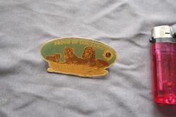 VİNTAGE  LİONS  İNTERNATİONAL ROZET-BROŞ-MADALYA  DETAYLAR RESIMLERDE (KİTAP RAF TENEKE KUTU 33