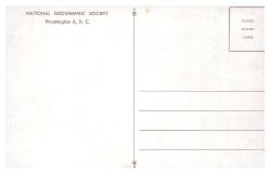 1950-60'lar Amerika Washington National Geographic Society Binası Görselli Kartpostal