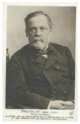 1950-60'lar Fransa Baskısı Pasteur Görselli Kartpostal, Arkasında Yapışma İzi Var