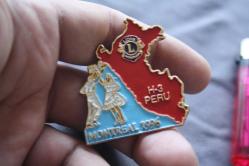 VİNTAGE  LİONS  İNTERNATİONAL ROZET-BROŞ-MADALYA  DETAYLAR RESIMLERDE (ÇİFT RAF PLASTIK KUTU 12