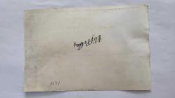 ELİF PEKTAŞ'IN ORİJİNAL FOTOĞRAFI  - 18 x 12 cm EBADINDA  - ELİF PEKTAŞ, KADRAJA VERİRKEN ÇEKİLMİŞ BİR KARE (AÇIKLAMAYI OKUYUNUZ)