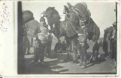 Akçakoca Develer Osmanlı Dönemi (14 X 9cm)