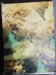 İLGİ DERGİSİ sayı 26 Nisan 1978