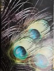 İLGİ DERGİSİ sayı 24 Eylül 1976