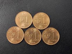 2016 YILI MADENİ 1 KURUŞ 5 LI SET ÇİL TCM