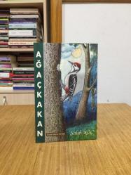 Ağaçkakan - Salih Koç