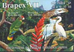 Koleksiyon Pulları,1988 Brezilya, EKOLOJİK Dengenin Korunması Özel Blok Damgasız Tam Seri,Kia-28