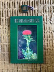 Her Tarladan Bir Kesek