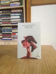 Geçti Gecemizden Yılkı Atları - Hilmi Nar