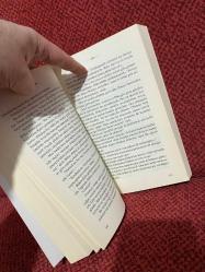 Böke Alamut'un Fethi