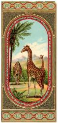 Fes Etiketi, D-10, Üç zürafa, 109x233 mm, Kondisyon  9,5-10, Gerçek=Orijinal