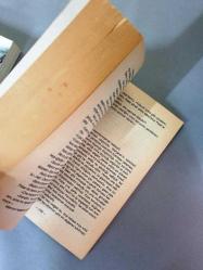 SULARI ÜRPERTEN GECE*