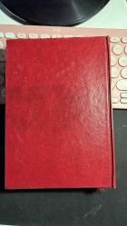 DELİKANLI - FYODOR MİHAYLOVİÇ DOSTOYEVSKİ - GÖRSEL YAYINLAR BİRİNCİ BASKI 1992