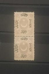 1865 AYYILDIZLI (DULOZ) POSTA PULLARI 1.TİP KATALOG NO.25 / DİKEY PER
