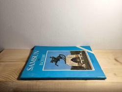 Samsun ve İlçeleri