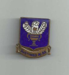 US ARMY AIR FORCE - SUSTINEO ALAS  / AMERİKAN HAVA KUVVETLERİ AYIRT EDİCİ BİRİM NİŞANI GÜVENLİK ROZETİ...
