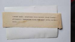 ŞANTÖZ AYLİN'İN (GÜLER) ORİJİNAL FOTOĞRAFI - 18 x 12 cm EBADINDA - ŞANTÖZ AYLİN, BİR FİLM ÇEKİMİNDE HİZMETÇİ GİYSİLERİYLE ELİNDE YEMEK TEPSİSİ GÖTÜRÜRKEN ÇEKİLMİŞ BİR KARE