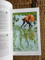 A New Agenda For Busıness