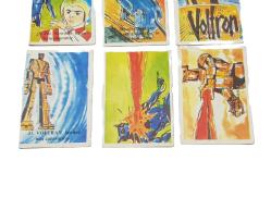 VOLTRAN KARTLARI (28-29-30-31-32-33)