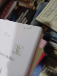 Tarih Dergisi Sayı: 56 İstanbul Üniversitesi Edebiyat Fakültesi - Yıl-2012 /2 Amerikan Büyük Elçisi H. Mogenthau 'nun Türk Algısı Türk Modası ve....