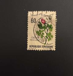 Tunus Pulu - Tunisie Stamp - Postadan Geçmiş Pul Filateli - Damgalı - Gül Temalı Pul, 60 PARA  - YABANCI PULLAR - NOSTALJİK DOĞUM GÜNÜ HEDİYESİ