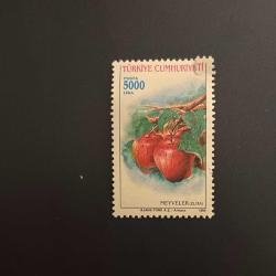 Türk Pulu - Turkish Stamp -  Postadan Geçmiş Pul Filateli - MEYVELER ( ELMA ) TEMALI PUL, 5000 LİRA - Türkiye Cumhuriyeti - NOSTALJİK DOĞUM GÜNÜ HEDİYESİ