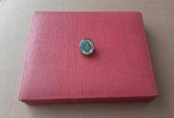 ESKİ - BURSA ANADOLU LİSESİ ROZETİ - MADALYA C4785