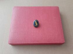 ESKİ - İSTANBUL KANARYA SEVENLER VE YETİŞTİRENLER DERNEĞİ ROZETİ - MADALYA C4823