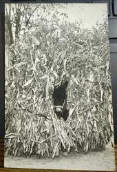 Yavru sıpa ağır yük yükletilmiş siyah beyaz fotoğraf nadir kolleksiyonluk