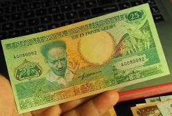 SURİNAME 25 GULDEN ÇİL